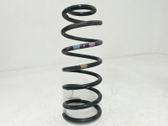 Rear coil spring
