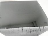 Rear door window glass