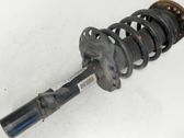 Front shock absorber with coil spring
