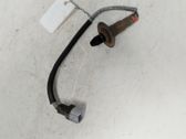 Lambda probe sensor