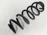 Rear coil spring