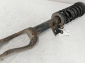 Front shock absorber with coil spring