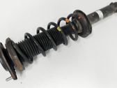 Rear shock absorber/damper