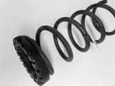 Rear coil spring