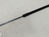 Front bonnet/hood damper/strut