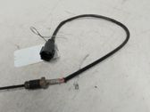 Abgastemperatursensor