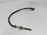 Exhaust gas temperature sensor