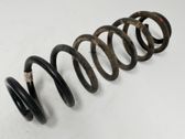 Rear coil spring