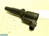 Zündspule Zündmodul