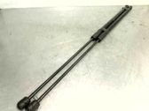 Front bonnet/hood damper/strut