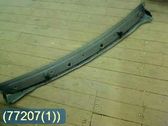 Moldura del limpia