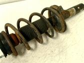 Front shock absorber with coil spring