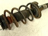 Front shock absorber with coil spring