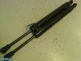 Tailgate strut