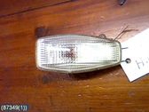 Front fender indicator light
