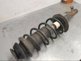 Front shock absorber with coil spring