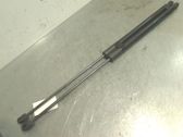 Tailgate strut