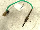 Exhaust gas temperature sensor