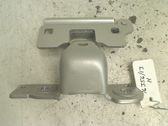 Tailgate/trunk/boot hinge