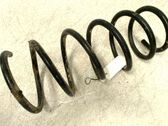 Muelle espiral trasero