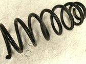Muelle espiral trasero