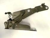Tailgate/trunk/boot hinge
