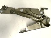 Tailgate/trunk/boot hinge