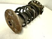 Front shock absorber with coil spring