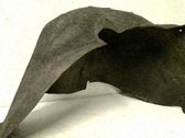 Revestimientos de la aleta antisalpicaduras delanteros