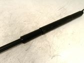 Tailgate/trunk strut/damper