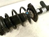 Front shock absorber with coil spring