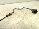 Abgastemperatursensor