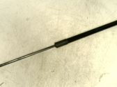 Tailgate strut