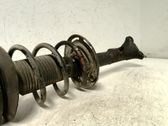 Stoßdämpfer Federbein