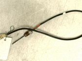 Exhaust gas temperature sensor