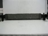 Intercooler radiator