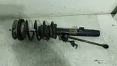 Front shock absorber/damper