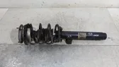 Front shock absorber/damper