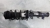 Front shock absorber/damper