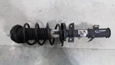 Front shock absorber/damper