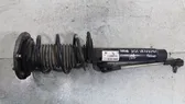 Front shock absorber/damper