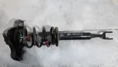 Front shock absorber/damper