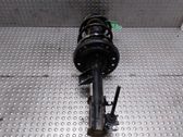Front shock absorber/damper