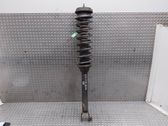Rear shock absorber/damper