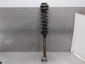 Rear shock absorber/damper