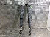 Stoßdämpfer hinten