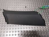 Other sill/pillar trim element