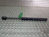 Front bonnet/hood damper/strut