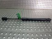 Front bonnet/hood damper/strut