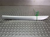 Rear door trim (molding)